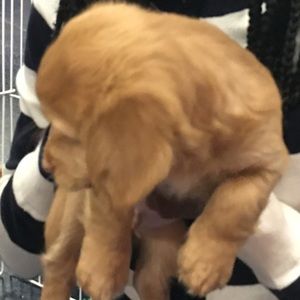 Meet your Posher, Arianna